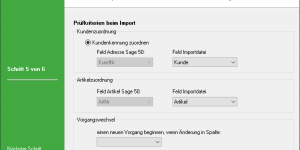 Importassistent Prüfkriterien